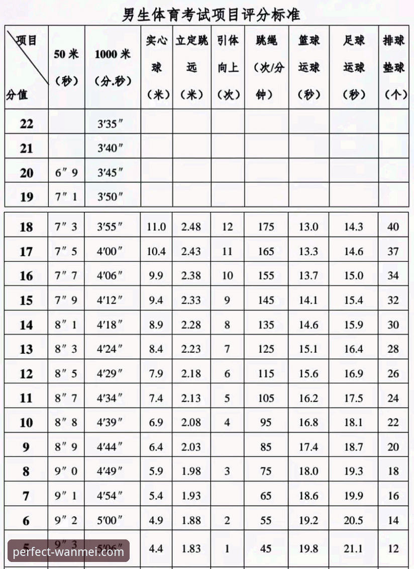 3个关键步骤与5大亮点：新手快速上手完美体育娱乐平台2025新版